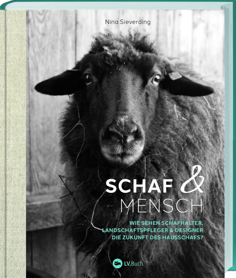 Schwarz-Weiß-Porträt eines Schafes mit dichtem Fell und aufmerksamen Augen, blickend in die Kamera