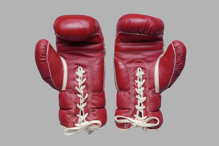 Rote Boxhandschuhe aus Leder mit weißer Schnürung und Kontraststreifen, Paar von vorne fotografiert.