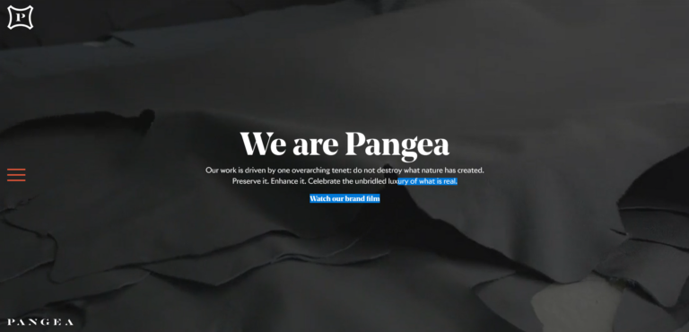 Startseite von Pangea mit großer Überschrift "We are Pangea" und Unternehmensmission zum Schutz der Natur